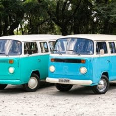 Combi, kombi, T1, T2, bully, bullie, bulli, bullies, vw bus, vw Kombi, vw combi, vw van, vw camper, camper van, camper bus, vintage car, classic car, vw t1, vw t2, vw camper van, volkswagen camper, volkswagen combi, volkswagen kombi, volkswagen bus, volkswagen van, volkswagen T2, volkswagen T1, import vw t1, import vw T2, import vw combi, import vw Kombi, import vw van, import vw camper, import vw camper van, import combi, import Kombi, import vw bus, import T1, import T2, usa, australia, canada, germany, deutschland, netherlands, dubai, UAE, buy combi, buy Kombi, buy vw combi, buy vw Kombi, buy vw bus, buy vw van, buy vw camper, buy vw camper bus, import volkswagen van, import volkswagen bus, import volkswagen Kombi, import volkswagen camper, import volkswagen combi, samba fenster bus, samba bus, samba combi, samba Kombi, samba van, samba camper, westfalia, import westfalia, buy westfalia, import samba bus, buy samba bus, import bully, import bullie, import bulli, import bullies, import vw bully, import vw bullie, import vw bulli, import vw bullies, volkswagen bully, volkswagen bullie, volkswagen bulli, volkswagen bullies, buy bullies, buy vw bully, buy vw bullie, import vw bulli, buy vw bullies, buy volkswagen bully, buy volkswagen bullie, buy volkswagen bulli, buy volkswagen bullies, kaufen vw Kombi, kaufen vw combi, kaufen vw bus, kaufen vw van, kaufen vw kamper, verkaufen vw Kombi, verkaufen vw combi, verkaufen vw bus, verkaufen vw van, verkaufen vw camper, verkaufen vw kamper, import vw kamper, verkaufen vw bully, kaufen vw bully, sale vw bus, sale vw combi, sale vw Kombi, sale vw van, sale vw t1, sale vw t2, import vw t1, import vw t2, buy vw t1, buy vw t2, kaufen vw t1, kaufen vw t2, verkaufen vw t1, verkaufen vw t2, verkaufen t1, verkaufen t2, kaufen t1, kaufen t2, buy t1, buy t2, import t1, import t2, import brazil, Kombi brazil, vw bus brazil, vw van brazil, combi brazil, vw camper brazil, westfalia brazil, sale westfalia, kaufen westfalia, buy westfalia, verkaufen westfalia, sale samba bus, samba bus, import, brazil, Combi motorhome, kombi motorhome, T1 motorhome, T2 motorhome, vw bus motorhome, vw Kombi motorhome, vw combi motorhome, vw van motorhome, vw camper motorhome, vw van motorhome, import vw kamper, import Kombi kamper, samba fenster Kombi, , samba fenster vw, Import combi usa, Import combi australia, Import combi canada, Import combi germany, Import combi deutschland, Import combi netherlands, Import combi dubai, Import combi UAE, Import vw combi usa, Import vw combi australia, Import vw combi canada, Import vw combi germany, Import vw combi deutschland, Import vw combi netherlands, Import vw combi dubai, Import vw combi UAE, Import volkswagen combi usa, Import volkswagen combi australia, Import volkswagen combi canada, Import volkswagen combi germany, Import volkswagen combi deutschland, Import volkswagen combi netherlands, Import volkswagen combi dubai, Import volkswagen combi UAE, Import Kombi usa, Import Kombi australia, Import Kombi canada, Import Kombi germany, Import Kombi deutschland, Import Kombi netherlands, Import Kombi dubai, Import Kombi UAE, Import vw Kombi usa, Import vw Kombi australia, Import vw Kombi canada, Import vw Kombi germany, Import vw Kombi deutschland, Import vw Kombi netherlands, Import vw Kombi dubai, Import vw Kombi UAE, Import volkswagen Kombi usa, Import volkswagen Kombi australia, Import volkswagen Kombi canada, Import volkswagen Kombi germany, Import volkswagen Kombi deutschland, Import volkswagen Kombi netherlands, Import volkswagen Kombi dubai, Import volkswagen Kombi UAE, Import vw bus usa, Import vw bus australia, Import vw bus canada, Import vw bus germany, Import vw bus deutschland, Import vw bus netherlands, Import vw bus dubai, Import vw bus UAE, Import volkswagen bus usa, Import volkswagen bus australia, Import volkswagen bus canada, Import volkswagen bus germany, Import volkswagen bus deutschland, Import volkswagen bus netherlands, Import volkswagen bus dubai, Import volkswagen bus UAE, Import vw van usa, Import vw van australia, Import vw van canada, Import vw van germany, Import vw van deutschland, Import vw van netherlands, Import vw van dubai, Import vw van UAE, Import volkswagen van usa, Import volkswagen van australia, Import volkswagen van canada, Import volkswagen van germany, Import volkswagen van deutschland, Import volkswagen van netherlands, Import volkswagen van dubai, Import volkswagen van UAE, Import camper van t1 usa, Import camper van t1 australia, Import camper van t1 canada, Import camper van t1 germany, Import camper van t1 deutschland, Import camper van t1 netherlands, Import camper van t1 dubai, Import camper van t1 UAE, Import vw camper van t1 usa, Import vw camper van t1 australia, Import vw camper van t1 canada, Import vw camper van t1 germany, Import vw camper van t1 deutschland, Import vw camper van t1 netherlands, Import vw camper van t1 dubai, Import vw camper van t1 UAE, Import volkswagen camper van t1 usa, Import volkswagen camper van t1 australia, Import volkswagen camper van t1 canada, Import volkswagen camper van t1 germany, Import volkswagen camper van t1 deutschland, Import volkswagen camper van t1 netherlands, Import volkswagen camper van t1 dubai, Import volkswagen camper van t1 UAE, Import t1 usa, Import t1 australia, Import t1 canada, Import t1 germany, Import t1 deutschland, Import t1 netherlands, Import t1 dubai, Import t1 UAE, Import vw t1 usa, Import vw t1 australia, Import vw t1 canada, Import vw t1 germany, Import vw t1 deutschland, Import vw t1 netherlands, Import vw t1 dubai, Import vw t1 UAE, Import volkswagen t1 usa, Import volkswagen t1 australia, Import volkswagen t1 canada, Import volkswagen t1 germany, Import volkswagen t1 deutschland, Import volkswagen t1 netherlands, Import volkswagen t1 dubai, Import volkswagen t1 UAE, Import t2 usa, Import t2 australia, Import t2 canada, Import t2 germany, Import t2 deutschland, Import t2 netherlands, Import t2 dubai, Import t2 UAE, Import vw t2 usa, Import vw t2 australia, Import vw t2 canada, Import vw t2 germany, Import vw t2 deutschland, Import vw t2 netherlands, Import vw t2 dubai, Import vw t2 UAE, Import volkswagen t2 usa, Import volkswagen t2 australia, Import volkswagen t2 canada, Import volkswagen t2 germany, Import volkswagen t2 deutschland, Import volkswagen t2 netherlands, Import volkswagen t2 dubai, Import volkswagen t2 UAE Mots clés spécifiques marché Allemand bully, bullie, bulli, bullies, vw kamper, vw kombi kamper, vw bully kamper, import bully, import bullie, import bulli, import bullies, import vw bully, import vw bullie, import vw bulli, import vw bullies, volkswagen bully, volkswagen bullie, volkswagen bulli, volkswagen bullies, buy bullies, buy vw bully, buy vw bullie, import vw bulli, buy vw bullies, buy volkswagen bully, buy volkswagen bullie, buy volkswagen bulli, buy volkswagen bullies, kaufen vw Kombi, kaufen vw combi, kaufen vw bus, kaufen vw van, kaufen vw kamper, verkaufen vw Kombi, verkaufen vw combi, verkaufen vw bus, verkaufen vw van, verkaufen vw camper, verkaufen vw kamper, import vw kamper, verkaufen vw bully, kaufen vw bully, kaufen vw t1, kaufen vw t2, verkaufen vw t1, verkaufen vw t2, verkaufen t1, verkaufen t2, kaufen t1, kaufen t2, import vw kamper, verkaufen westfalia, kaufen westfalia, samba fenster bus, samba fenster Kombi, , samba fenster vw, import Kombi kamper Mots clés combis Combi, kombi, T1, T2, vw bus, vw van, vw camper, camper van, camper bus, vintage car, classic car, vw t1, vw t2, vw Kombi, vw combi, vw kombi, vw camper van, vw vintage car, vw classic car, vw camper, vw camper van, vw camper bus, volkswagen camper, volkswagen combi, volkswagen kombi, volkswagen bus, volkswagen van, volkswagen T2, volkswagen T1, volkswagen camper bus, samba bus, samba combi, samba Kombi, samba van, samba camper, westfalia, import westfalia, import samba bus, Kombi brazil, vw bus brazil, vw van brazil, combi brazil, vw camper brazil, westfalia brazil, samba bus, , Combi motorhome, kombi motorhome, T1 motorhome, T2 motorhome, vw bus motorhome, vw Kombi motorhome, vw combi motorhome, vw camper motorhome, vw van motorhome, volkswagen bus motorhome, volkswagen Kombi motorhome, volkswagen combi motorhome, volkswagen camper motorhome, volkswagen van motorhome, vw T1 motorhome, vw T2 motorhome, volkswagen T1 motorhome, volkswagen T2 motorhome, Autres modèles Vw puma, puma brazil, volkswagen puma, Volkswagen sp2, vw sp2, sp2 brazil, Volkswagen karmann ghia, vw karmann ghia, volkswagen karmann ghia, karmann ghia brazil, porsche replica, porsche 356 replica, porsche 550 replica, porsche 550 brazil, porsche 356 brazil, old beettle, old vw beettle, old volkswagen beettle, beetle brazil, vw beetle brazil, volkswagen beetle brazil Mots clés achat/vente buy combi, buy Kombi, buy vw combi, buy vw Kombi, buy vw bus, buy vw van, buy vw camper, buy vw camper bus, buy westfalia, buy samba bus, sale vw bus, sale vw combi, sale vw Kombi, sale vw van, sale vw t1, sale vw t2, import vw t1, buy vw t1, buy vw t2, buy t1, buy t2, import t1, import t2, sale westfalia, buy westfalia, sale samba bus Pays ciblés usa, australia, canada, germany, deutschland, netherlands, dubai, UAE Mots clés import Import combi usa, Import combi australia, Import combi canada, Import combi germany, Import combi deutschland, Import combi netherlands, Import combi dubai, Import combi UAE, Import vw combi usa, Import vw combi australia, Import vw combi canada, Import vw combi germany, Import vw combi deutschland, Import vw combi netherlands, Import vw combi dubai, Import vw combi UAE, Import volkswagen combi usa, Import volkswagen combi australia, Import volkswagen combi canada, Import volkswagen combi germany, Import volkswagen combi deutschland, Import volkswagen combi netherlands, Import volkswagen combi dubai, Import volkswagen combi UAE, Import Kombi usa, Import Kombi australia, Import Kombi canada, Import Kombi germany, Import Kombi deutschland, Import Kombi netherlands, Import Kombi dubai, Import Kombi UAE, Import vw Kombi usa, Import vw Kombi australia, Import vw Kombi canada, Import vw Kombi germany, Import vw Kombi deutschland, Import vw Kombi netherlands, Import vw Kombi dubai, Import vw Kombi UAE, Import volkswagen Kombi usa, Import volkswagen Kombi australia, Import volkswagen Kombi canada, Import volkswagen Kombi germany, Import volkswagen Kombi deutschland, Import volkswagen Kombi netherlands, Import volkswagen Kombi dubai, Import volkswagen Kombi UAE, Import vw bus usa, Import vw bus australia, Import vw bus canada, Import vw bus germany, Import vw bus deutschland, Import vw bus netherlands, Import vw bus dubai, Import vw bus UAE, Import volkswagen bus usa, Import volkswagen bus australia, Import volkswagen bus canada, Import volkswagen bus germany, Import volkswagen bus deutschland, Import volkswagen bus netherlands, Import volkswagen bus dubai, Import volkswagen bus UAE, Import vw van usa, Import vw van australia, Import vw van canada, Import vw van germany, Import vw van deutschland, Import vw van netherlands, Import vw van dubai, Import vw van UAE, Import volkswagen van usa, Import volkswagen van australia, Import volkswagen van canada, Import volkswagen van germany, Import volkswagen van deutschland, Import volkswagen van netherlands, Import volkswagen van dubai, Import volkswagen van UAE, Import camper van t1 usa, Import camper van t1 australia, Import camper van t1 canada, Import camper van t1 germany, Import camper van t1 deutschland, Import camper van t1 netherlands, Import camper van t1 dubai, Import camper van t1 UAE, Import vw camper van t1 usa, Import vw camper van t1 australia, Import vw camper van t1 canada, Import vw camper van t1 germany, Import vw camper van t1 deutschland, Import vw camper van t1 netherlands, Import vw camper van t1 dubai, Import vw camper van t1 UAE, Import volkswagen camper van t1 usa, Import volkswagen camper van t1 australia, Import volkswagen camper van t1 canada, Import volkswagen camper van t1 germany, Import volkswagen camper van t1 deutschland, Import volkswagen camper van t1 netherlands, Import volkswagen camper van t1 dubai, Import volkswagen camper van t1 UAE, Import t1 usa, Import t1 australia, Import t1 canada, Import t1 germany, Import t1 deutschland, Import t1 netherlands, Import t1 dubai, Import t1 UAE, Import vw t1 usa, Import vw t1 australia, Import vw t1 canada, Import vw t1 germany, Import vw t1 deutschland, Import vw t1 netherlands, Import vw t1 dubai, Import vw t1 UAE, Import volkswagen t1 usa, Import volkswagen t1 australia, Import volkswagen t1 canada, Import volkswagen t1 germany, Import volkswagen t1 deutschland, Import volkswagen t1 netherlands, Import volkswagen t1 dubai, Import volkswagen t1 UAE, Import t2 usa, Import t2 australia, Import t2 canada, Import t2 germany, Import t2 deutschland, Import t2 netherlands, Import t2 dubai, Import t2 UAE, Import vw t2 usa, Import vw t2 australia, Import vw t2 canada, Import vw t2 germany, Import vw t2 deutschland, Import vw t2 netherlands, Import vw t2 dubai, Import vw t2 UAE, Import volkswagen t2 usa, Import volkswagen t2 australia, Import volkswagen t2 canada, Import volkswagen t2 germany, Import volkswagen t2 deutschland, Import volkswagen t2 netherlands, Import volkswagen t2 dubai, Import volkswagen t2 UAE, import vw t1, import vw T2, import vw combi, import vw Kombi, import vw van, import vw camper, import vw camper van, import combi, import Kombi, import vw bus, import T1, import T2, import volkswagen van, import volkswagen bus, import volkswagen Kombi, import volkswagen camper, import volkswagen combi, import vw t2, import brazil, import, brazil