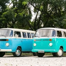 Combi, kombi, T1, T2, bully, bullie, bulli, bullies, vw bus, vw Kombi, vw combi, vw van, vw camper, camper van, camper bus, vintage car, classic car, vw t1, vw t2, vw camper van, volkswagen camper, volkswagen combi, volkswagen kombi, volkswagen bus, volkswagen van, volkswagen T2, volkswagen T1, import vw t1, import vw T2, import vw combi, import vw Kombi, import vw van, import vw camper, import vw camper van, import combi, import Kombi, import vw bus, import T1, import T2, usa, australia, canada, germany, deutschland, netherlands, dubai, UAE, buy combi, buy Kombi, buy vw combi, buy vw Kombi, buy vw bus, buy vw van, buy vw camper, buy vw camper bus, import volkswagen van, import volkswagen bus, import volkswagen Kombi, import volkswagen camper, import volkswagen combi, samba fenster bus, samba bus, samba combi, samba Kombi, samba van, samba camper, westfalia, import westfalia, buy westfalia, import samba bus, buy samba bus, import bully, import bullie, import bulli, import bullies, import vw bully, import vw bullie, import vw bulli, import vw bullies, volkswagen bully, volkswagen bullie, volkswagen bulli, volkswagen bullies, buy bullies, buy vw bully, buy vw bullie, import vw bulli, buy vw bullies, buy volkswagen bully, buy volkswagen bullie, buy volkswagen bulli, buy volkswagen bullies, kaufen vw Kombi, kaufen vw combi, kaufen vw bus, kaufen vw van, kaufen vw kamper, verkaufen vw Kombi, verkaufen vw combi, verkaufen vw bus, verkaufen vw van, verkaufen vw camper, verkaufen vw kamper, import vw kamper, verkaufen vw bully, kaufen vw bully, sale vw bus, sale vw combi, sale vw Kombi, sale vw van, sale vw t1, sale vw t2, import vw t1, import vw t2, buy vw t1, buy vw t2, kaufen vw t1, kaufen vw t2, verkaufen vw t1, verkaufen vw t2, verkaufen t1, verkaufen t2, kaufen t1, kaufen t2, buy t1, buy t2, import t1, import t2, import brazil, Kombi brazil, vw bus brazil, vw van brazil, combi brazil, vw camper brazil, westfalia brazil, sale westfalia, kaufen westfalia, buy westfalia, verkaufen westfalia, sale samba bus, samba bus, import, brazil, Combi motorhome, kombi motorhome, T1 motorhome, T2 motorhome, vw bus motorhome, vw Kombi motorhome, vw combi motorhome, vw van motorhome, vw camper motorhome, vw van motorhome, import vw kamper, import Kombi kamper, samba fenster Kombi, , samba fenster vw, Import combi usa, Import combi australia, Import combi canada, Import combi germany, Import combi deutschland, Import combi netherlands, Import combi dubai, Import combi UAE, Import vw combi usa, Import vw combi australia, Import vw combi canada, Import vw combi germany, Import vw combi deutschland, Import vw combi netherlands, Import vw combi dubai, Import vw combi UAE, Import volkswagen combi usa, Import volkswagen combi australia, Import volkswagen combi canada, Import volkswagen combi germany, Import volkswagen combi deutschland, Import volkswagen combi netherlands, Import volkswagen combi dubai, Import volkswagen combi UAE, Import Kombi usa, Import Kombi australia, Import Kombi canada, Import Kombi germany, Import Kombi deutschland, Import Kombi netherlands, Import Kombi dubai, Import Kombi UAE, Import vw Kombi usa, Import vw Kombi australia, Import vw Kombi canada, Import vw Kombi germany, Import vw Kombi deutschland, Import vw Kombi netherlands, Import vw Kombi dubai, Import vw Kombi UAE, Import volkswagen Kombi usa, Import volkswagen Kombi australia, Import volkswagen Kombi canada, Import volkswagen Kombi germany, Import volkswagen Kombi deutschland, Import volkswagen Kombi netherlands, Import volkswagen Kombi dubai, Import volkswagen Kombi UAE, Import vw bus usa, Import vw bus australia, Import vw bus canada, Import vw bus germany, Import vw bus deutschland, Import vw bus netherlands, Import vw bus dubai, Import vw bus UAE, Import volkswagen bus usa, Import volkswagen bus australia, Import volkswagen bus canada, Import volkswagen bus germany, Import volkswagen bus deutschland, Import volkswagen bus netherlands, Import volkswagen bus dubai, Import volkswagen bus UAE, Import vw van usa, Import vw van australia, Import vw van canada, Import vw van germany, Import vw van deutschland, Import vw van netherlands, Import vw van dubai, Import vw van UAE, Import volkswagen van usa, Import volkswagen van australia, Import volkswagen van canada, Import volkswagen van germany, Import volkswagen van deutschland, Import volkswagen van netherlands, Import volkswagen van dubai, Import volkswagen van UAE, Import camper van t1 usa, Import camper van t1 australia, Import camper van t1 canada, Import camper van t1 germany, Import camper van t1 deutschland, Import camper van t1 netherlands, Import camper van t1 dubai, Import camper van t1 UAE, Import vw camper van t1 usa, Import vw camper van t1 australia, Import vw camper van t1 canada, Import vw camper van t1 germany, Import vw camper van t1 deutschland, Import vw camper van t1 netherlands, Import vw camper van t1 dubai, Import vw camper van t1 UAE, Import volkswagen camper van t1 usa, Import volkswagen camper van t1 australia, Import volkswagen camper van t1 canada, Import volkswagen camper van t1 germany, Import volkswagen camper van t1 deutschland, Import volkswagen camper van t1 netherlands, Import volkswagen camper van t1 dubai, Import volkswagen camper van t1 UAE, Import t1 usa, Import t1 australia, Import t1 canada, Import t1 germany, Import t1 deutschland, Import t1 netherlands, Import t1 dubai, Import t1 UAE, Import vw t1 usa, Import vw t1 australia, Import vw t1 canada, Import vw t1 germany, Import vw t1 deutschland, Import vw t1 netherlands, Import vw t1 dubai, Import vw t1 UAE, Import volkswagen t1 usa, Import volkswagen t1 australia, Import volkswagen t1 canada, Import volkswagen t1 germany, Import volkswagen t1 deutschland, Import volkswagen t1 netherlands, Import volkswagen t1 dubai, Import volkswagen t1 UAE, Import t2 usa, Import t2 australia, Import t2 canada, Import t2 germany, Import t2 deutschland, Import t2 netherlands, Import t2 dubai, Import t2 UAE, Import vw t2 usa, Import vw t2 australia, Import vw t2 canada, Import vw t2 germany, Import vw t2 deutschland, Import vw t2 netherlands, Import vw t2 dubai, Import vw t2 UAE, Import volkswagen t2 usa, Import volkswagen t2 australia, Import volkswagen t2 canada, Import volkswagen t2 germany, Import volkswagen t2 deutschland, Import volkswagen t2 netherlands, Import volkswagen t2 dubai, Import volkswagen t2 UAE Mots clés spécifiques marché Allemand bully, bullie, bulli, bullies, vw kamper, vw kombi kamper, vw bully kamper, import bully, import bullie, import bulli, import bullies, import vw bully, import vw bullie, import vw bulli, import vw bullies, volkswagen bully, volkswagen bullie, volkswagen bulli, volkswagen bullies, buy bullies, buy vw bully, buy vw bullie, import vw bulli, buy vw bullies, buy volkswagen bully, buy volkswagen bullie, buy volkswagen bulli, buy volkswagen bullies, kaufen vw Kombi, kaufen vw combi, kaufen vw bus, kaufen vw van, kaufen vw kamper, verkaufen vw Kombi, verkaufen vw combi, verkaufen vw bus, verkaufen vw van, verkaufen vw camper, verkaufen vw kamper, import vw kamper, verkaufen vw bully, kaufen vw bully, kaufen vw t1, kaufen vw t2, verkaufen vw t1, verkaufen vw t2, verkaufen t1, verkaufen t2, kaufen t1, kaufen t2, import vw kamper, verkaufen westfalia, kaufen westfalia, samba fenster bus, samba fenster Kombi, , samba fenster vw, import Kombi kamper Mots clés combis Combi, kombi, T1, T2, vw bus, vw van, vw camper, camper van, camper bus, vintage car, classic car, vw t1, vw t2, vw Kombi, vw combi, vw kombi, vw camper van, vw vintage car, vw classic car, vw camper, vw camper van, vw camper bus, volkswagen camper, volkswagen combi, volkswagen kombi, volkswagen bus, volkswagen van, volkswagen T2, volkswagen T1, volkswagen camper bus, samba bus, samba combi, samba Kombi, samba van, samba camper, westfalia, import westfalia, import samba bus, Kombi brazil, vw bus brazil, vw van brazil, combi brazil, vw camper brazil, westfalia brazil, samba bus, , Combi motorhome, kombi motorhome, T1 motorhome, T2 motorhome, vw bus motorhome, vw Kombi motorhome, vw combi motorhome, vw camper motorhome, vw van motorhome, volkswagen bus motorhome, volkswagen Kombi motorhome, volkswagen combi motorhome, volkswagen camper motorhome, volkswagen van motorhome, vw T1 motorhome, vw T2 motorhome, volkswagen T1 motorhome, volkswagen T2 motorhome, Autres modèles Vw puma, puma brazil, volkswagen puma, Volkswagen sp2, vw sp2, sp2 brazil, Volkswagen karmann ghia, vw karmann ghia, volkswagen karmann ghia, karmann ghia brazil, porsche replica, porsche 356 replica, porsche 550 replica, porsche 550 brazil, porsche 356 brazil, old beettle, old vw beettle, old volkswagen beettle, beetle brazil, vw beetle brazil, volkswagen beetle brazil Mots clés achat/vente buy combi, buy Kombi, buy vw combi, buy vw Kombi, buy vw bus, buy vw van, buy vw camper, buy vw camper bus, buy westfalia, buy samba bus, sale vw bus, sale vw combi, sale vw Kombi, sale vw van, sale vw t1, sale vw t2, import vw t1, buy vw t1, buy vw t2, buy t1, buy t2, import t1, import t2, sale westfalia, buy westfalia, sale samba bus Pays ciblés usa, australia, canada, germany, deutschland, netherlands, dubai, UAE Mots clés import Import combi usa, Import combi australia, Import combi canada, Import combi germany, Import combi deutschland, Import combi netherlands, Import combi dubai, Import combi UAE, Import vw combi usa, Import vw combi australia, Import vw combi canada, Import vw combi germany, Import vw combi deutschland, Import vw combi netherlands, Import vw combi dubai, Import vw combi UAE, Import volkswagen combi usa, Import volkswagen combi australia, Import volkswagen combi canada, Import volkswagen combi germany, Import volkswagen combi deutschland, Import volkswagen combi netherlands, Import volkswagen combi dubai, Import volkswagen combi UAE, Import Kombi usa, Import Kombi australia, Import Kombi canada, Import Kombi germany, Import Kombi deutschland, Import Kombi netherlands, Import Kombi dubai, Import Kombi UAE, Import vw Kombi usa, Import vw Kombi australia, Import vw Kombi canada, Import vw Kombi germany, Import vw Kombi deutschland, Import vw Kombi netherlands, Import vw Kombi dubai, Import vw Kombi UAE, Import volkswagen Kombi usa, Import volkswagen Kombi australia, Import volkswagen Kombi canada, Import volkswagen Kombi germany, Import volkswagen Kombi deutschland, Import volkswagen Kombi netherlands, Import volkswagen Kombi dubai, Import volkswagen Kombi UAE, Import vw bus usa, Import vw bus australia, Import vw bus canada, Import vw bus germany, Import vw bus deutschland, Import vw bus netherlands, Import vw bus dubai, Import vw bus UAE, Import volkswagen bus usa, Import volkswagen bus australia, Import volkswagen bus canada, Import volkswagen bus germany, Import volkswagen bus deutschland, Import volkswagen bus netherlands, Import volkswagen bus dubai, Import volkswagen bus UAE, Import vw van usa, Import vw van australia, Import vw van canada, Import vw van germany, Import vw van deutschland, Import vw van netherlands, Import vw van dubai, Import vw van UAE, Import volkswagen van usa, Import volkswagen van australia, Import volkswagen van canada, Import volkswagen van germany, Import volkswagen van deutschland, Import volkswagen van netherlands, Import volkswagen van dubai, Import volkswagen van UAE, Import camper van t1 usa, Import camper van t1 australia, Import camper van t1 canada, Import camper van t1 germany, Import camper van t1 deutschland, Import camper van t1 netherlands, Import camper van t1 dubai, Import camper van t1 UAE, Import vw camper van t1 usa, Import vw camper van t1 australia, Import vw camper van t1 canada, Import vw camper van t1 germany, Import vw camper van t1 deutschland, Import vw camper van t1 netherlands, Import vw camper van t1 dubai, Import vw camper van t1 UAE, Import volkswagen camper van t1 usa, Import volkswagen camper van t1 australia, Import volkswagen camper van t1 canada, Import volkswagen camper van t1 germany, Import volkswagen camper van t1 deutschland, Import volkswagen camper van t1 netherlands, Import volkswagen camper van t1 dubai, Import volkswagen camper van t1 UAE, Import t1 usa, Import t1 australia, Import t1 canada, Import t1 germany, Import t1 deutschland, Import t1 netherlands, Import t1 dubai, Import t1 UAE, Import vw t1 usa, Import vw t1 australia, Import vw t1 canada, Import vw t1 germany, Import vw t1 deutschland, Import vw t1 netherlands, Import vw t1 dubai, Import vw t1 UAE, Import volkswagen t1 usa, Import volkswagen t1 australia, Import volkswagen t1 canada, Import volkswagen t1 germany, Import volkswagen t1 deutschland, Import volkswagen t1 netherlands, Import volkswagen t1 dubai, Import volkswagen t1 UAE, Import t2 usa, Import t2 australia, Import t2 canada, Import t2 germany, Import t2 deutschland, Import t2 netherlands, Import t2 dubai, Import t2 UAE, Import vw t2 usa, Import vw t2 australia, Import vw t2 canada, Import vw t2 germany, Import vw t2 deutschland, Import vw t2 netherlands, Import vw t2 dubai, Import vw t2 UAE, Import volkswagen t2 usa, Import volkswagen t2 australia, Import volkswagen t2 canada, Import volkswagen t2 germany, Import volkswagen t2 deutschland, Import volkswagen t2 netherlands, Import volkswagen t2 dubai, Import volkswagen t2 UAE, import vw t1, import vw T2, import vw combi, import vw Kombi, import vw van, import vw camper, import vw camper van, import combi, import Kombi, import vw bus, import T1, import T2, import volkswagen van, import volkswagen bus, import volkswagen Kombi, import volkswagen camper, import volkswagen combi, import vw t2, import brazil, import, brazil